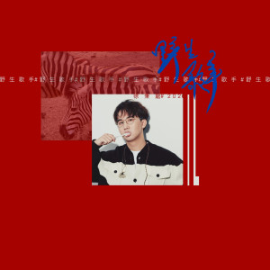 收聽徐秉龍的煙花大會歌詞歌曲