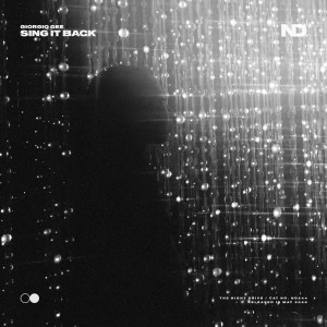 Album Sing It Back from Giorgio Gee