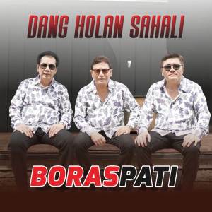Album Dang Holan Sahali from Boraspati