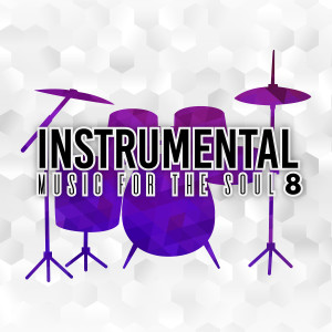 Various Artists的專輯Instrumental Music for the Soul-8