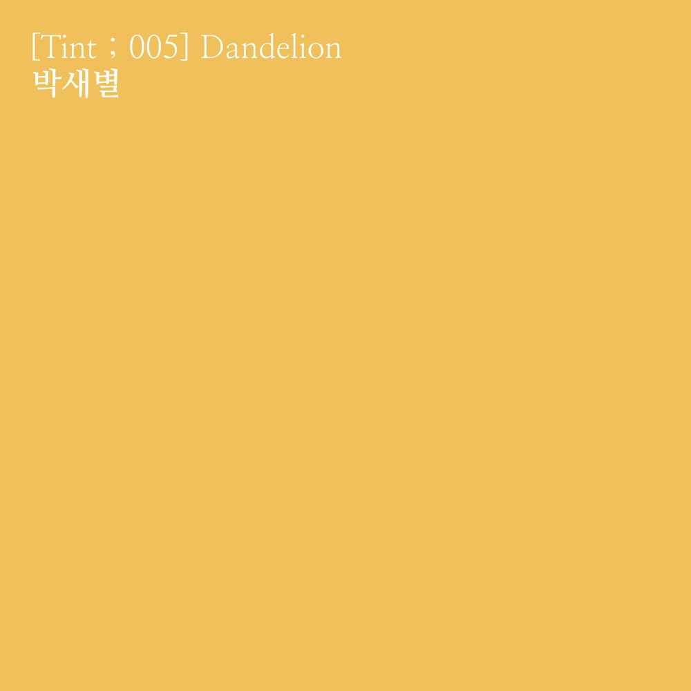 [Tint ; 005] Dandelion
