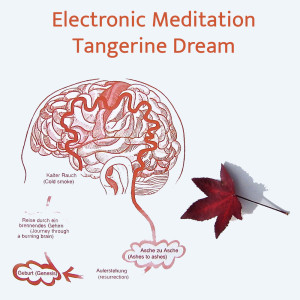 Album Electronic Meditation from Tangerine Dream