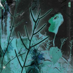 收聽Dytenna的40 Feet Deep (Explicit)歌詞歌曲