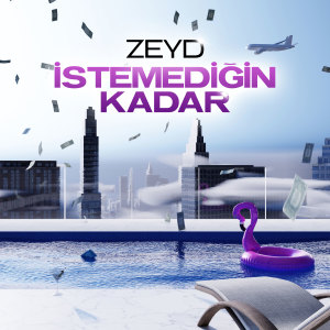Listen to İSTEMEDİĞİN KADAR (Explicit) song with lyrics from Zeyd