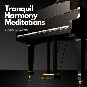 อัลบัม Tranquil Harmony Meditations: Piano Dreams ศิลปิน Piano Jazz Collection