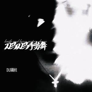 Album 刀马刀马手势舞 from DJ铁柱