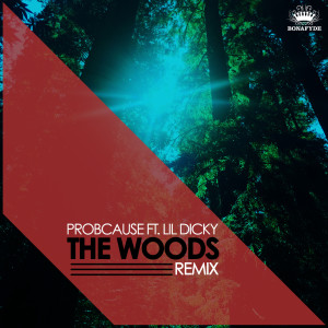ดาวน์โหลดและฟังเพลง The Woods (Remix) [feat. Lil Dicky] (Explicit) (Remix|Explicit) พร้อมเนื้อเพลงจาก Probcause