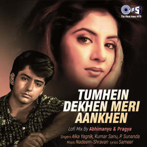 ดาวน์โหลดและฟังเพลง Tumhein Dekhen Meri Aankhen (Lofi Mix) พร้อมเนื้อเพลงจาก Alka Yagnik, Vinod Rathod