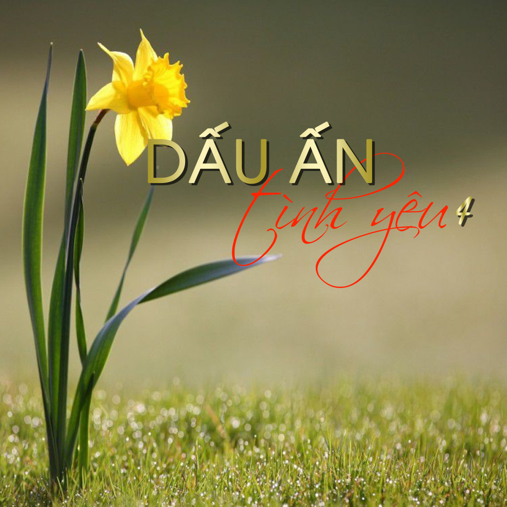 Ngọn Đèn Dâng Hiến