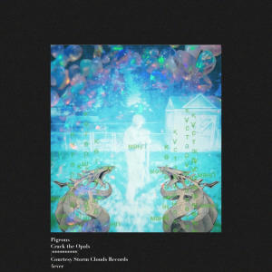 ดาวน์โหลดและฟังเพลง Opals (DANCE165) พร้อมเนื้อเพลงจาก Pigeons