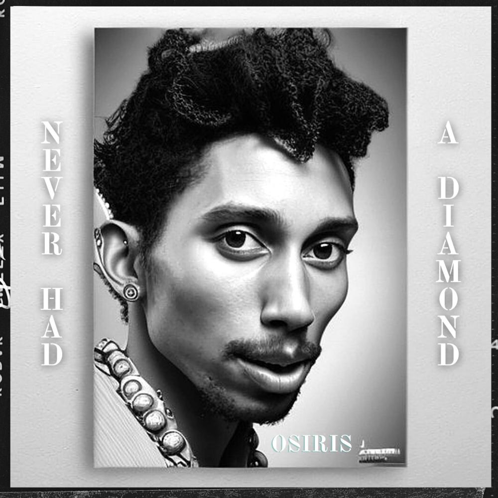 Never Had a Diamond (Explicit)