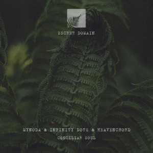 ดาวน์โหลดและฟังเพลง Conciliar Soul พร้อมเนื้อเพลงจาก Mynoda