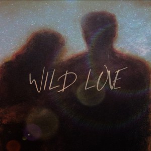 Listen to Wild Love song with lyrics from STARGEDON