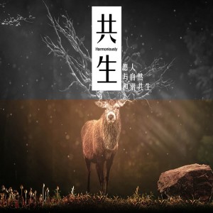 李鑑霖的專輯共生