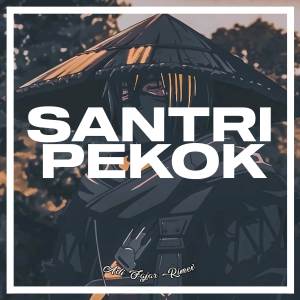 Adi fajar的专辑DJ SANTRI PEKOK KERONCONG BWI X JARANAN DOR