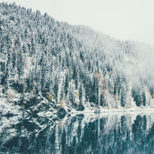 Album Serenity from Muzyka Do Spania