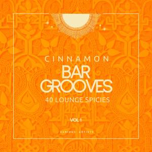 Album Cinnamon Bar Grooves (40 Lounge Spices), Vol. 1 (Explicit) from Various