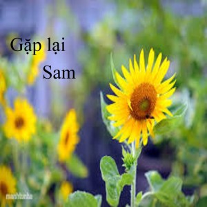 Listen to Gặp lại 2 song with lyrics from Sam