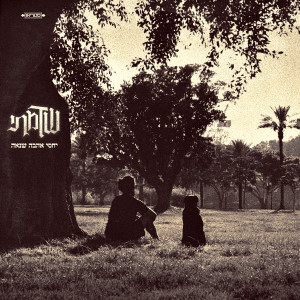 收聽שדמתי的בם בם歌詞歌曲