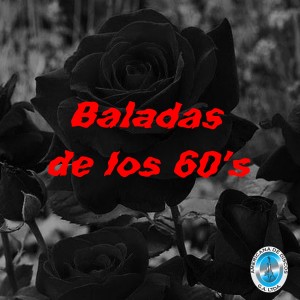 Listen to Destino Despiadado song with lyrics from Victoria Rey