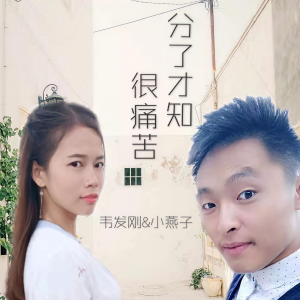 收聽韋發剛的分了才知很痛苦 (伴奏)歌詞歌曲