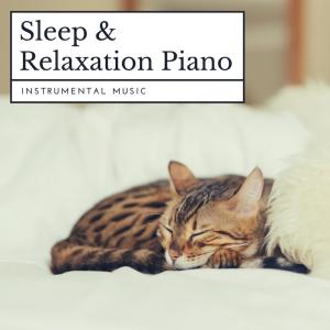 收听Relax α Wave的Relaxing Time with Cat歌词歌曲