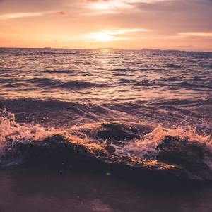 Dengarkan Way Home lagu dari Spa Music Relaxation dengan lirik