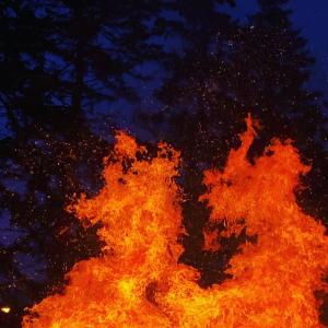 收聽Birdie的Born to Die (Explicit)歌詞歌曲