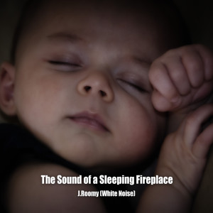 Album The Sound of a Sleeping Fireplace oleh J.Roomy