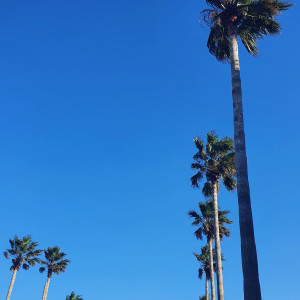 Listen to Bitter Cold (Feat. kumira) (Prod. edenbyeden) song with lyrics from Mabinc