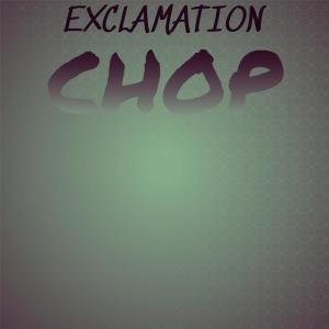 Various Artists的專輯Exclamation Chop