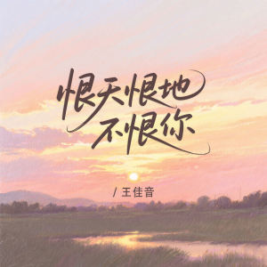 Album 恨天恨地不恨你 from 王佳音