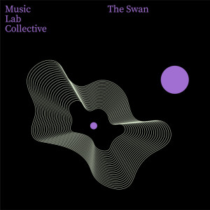 Music Lab Collective的專輯The Swan (Arr. for Piano)