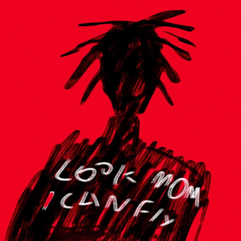 LOOK MOM I CAN FLY (Explicit)