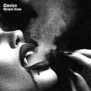 Album Shotgun kisses (Explicit) from Qwolen