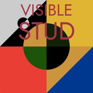 收听Georgiaa的Visible Stud歌词歌曲