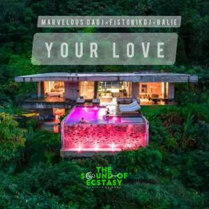 Album Your Love from Fistonik Dj