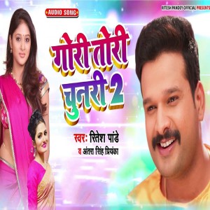 ดาวน์โหลดและฟังเพลง Gori Tori Chunari 2 พร้อมเนื้อเพลงจาก Ritesh Pandey