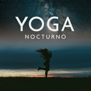 Album Yoga Nocturno (Entrenamiento Antes de Ir a Dormir) from Relajación Meditar Academie