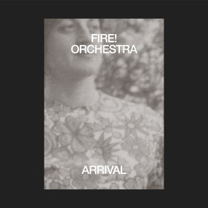 ดาวน์โหลดและฟังเพลง Silver Trees พร้อมเนื้อเพลงจาก Fire! Orchestra