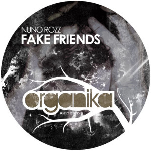 ดาวน์โหลดและฟังเพลง Fake Friends (Di Paul Remix) พร้อมเนื้อเพลงจาก Nuno Rozz
