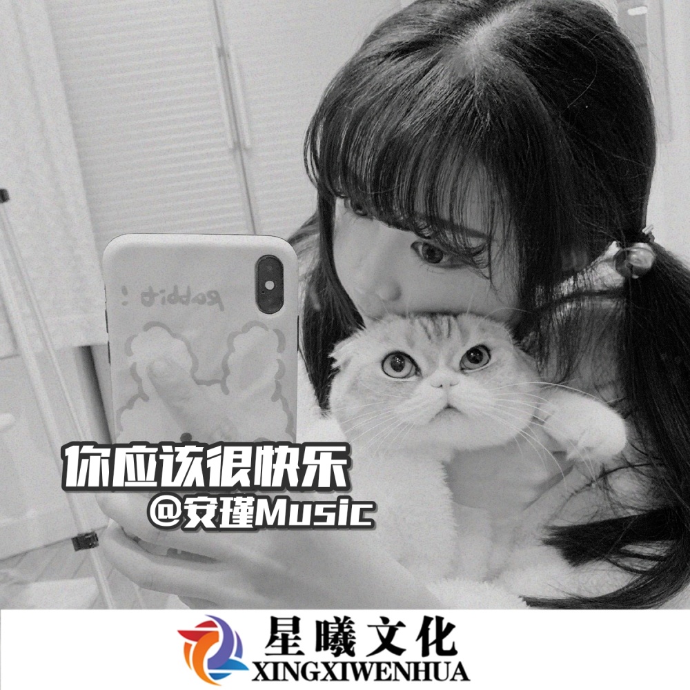 美丽女人 (DJ版)