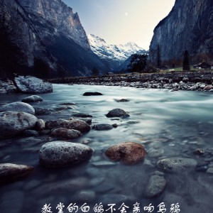 收聽劉小壯的教堂的白鴿不會親吻烏鴉歌詞歌曲