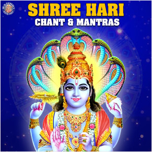 Album Shree Hari Chant & Mantras from Iwan Fals & Various Artists