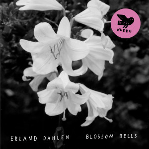 Listen to Pipe song with lyrics from Erland Dahlen