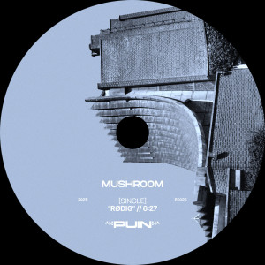 RØDIG的專輯Mushroom