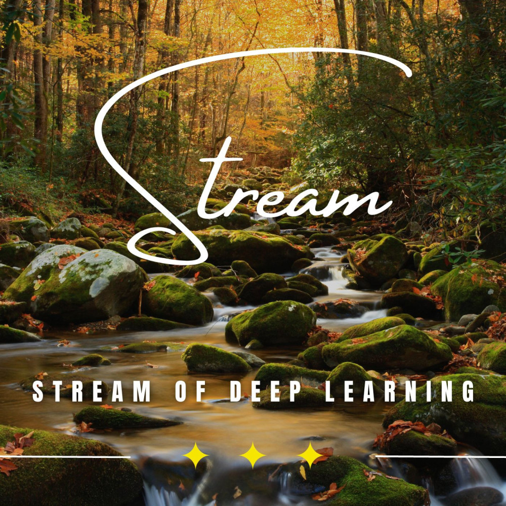 Stream's Tranquil Flow of Knowledge