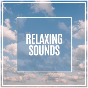 Meditation Guru的專輯Relaxing Sounds