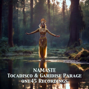 Tocadisco的專輯Namaste