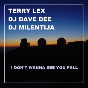 Album I Don't Wanna See You Fall from Terry Lex